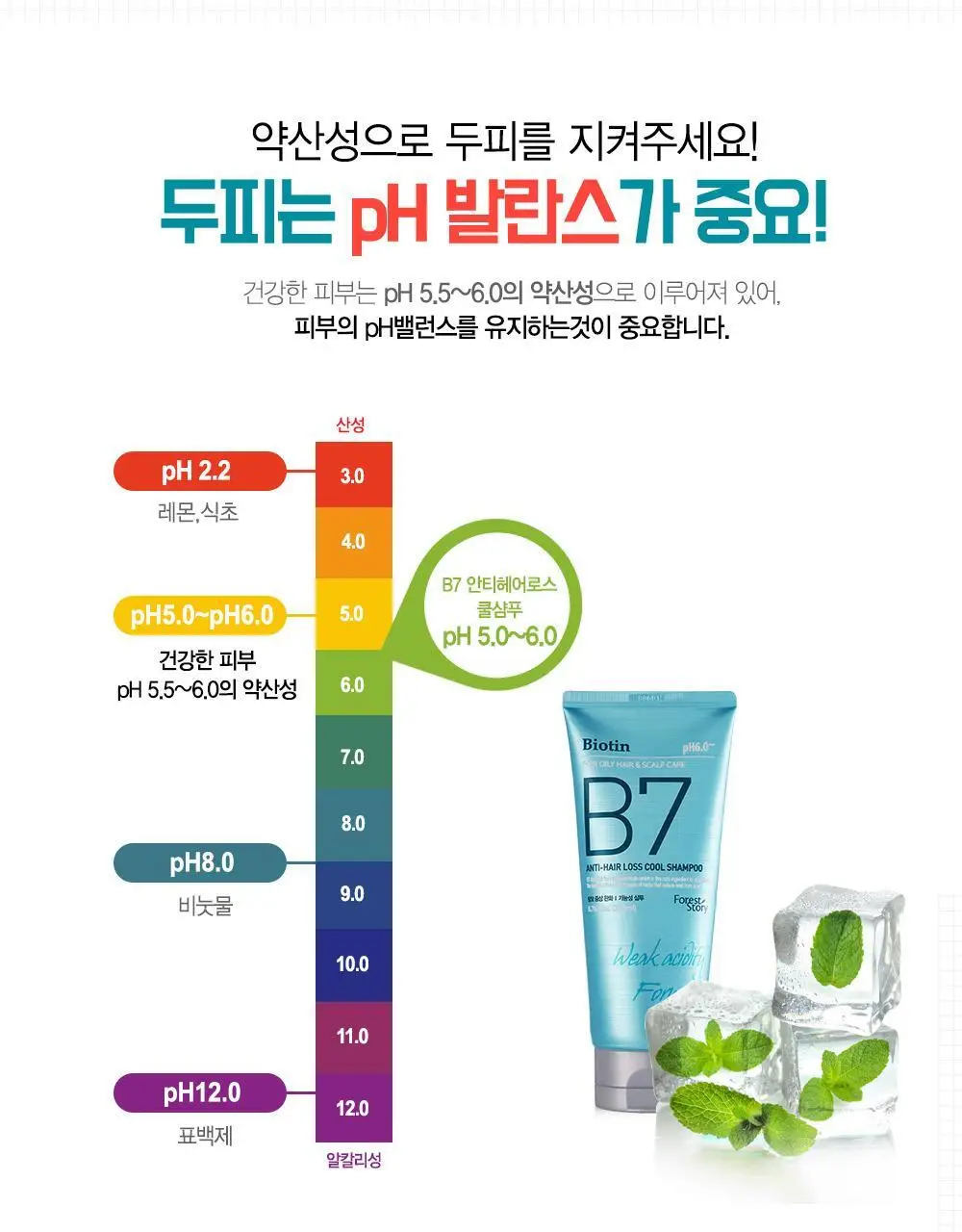 [텅장구조_탈모샴푸] 포레스트스토리 B7 안티 헤어 로스 쿨샴푸 200ml 상세페이지 6